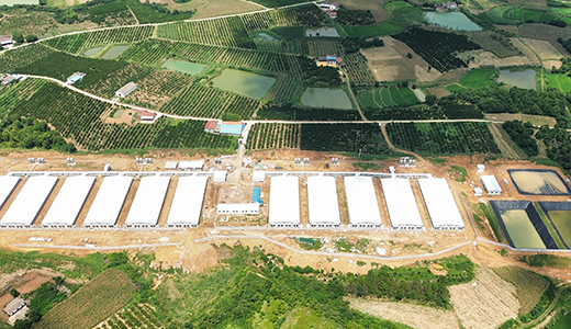 湖北当阳宇宙15400育肥场