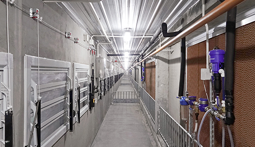 山东东营6000种猪场