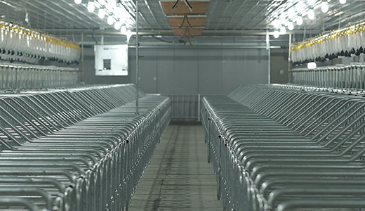 河南民权毕集6000种猪场